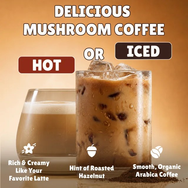 Delicious mushroom coffee, hot or iced — smooth organic Arabica coffee, rich and creamy like your favorite latte, with a hint of roasted hazelnut