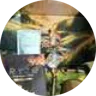 Pamela N., verified RYZE buyer
