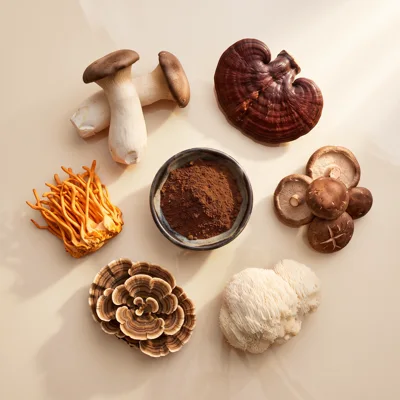 Flat lay of the six functional mushrooms in the RYZE blend around a bowl of coffee