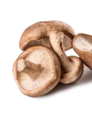 Shiitake