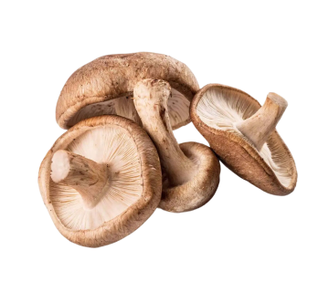 Shiitake mushrooms