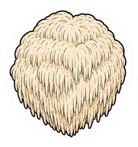 Lion's Mane
